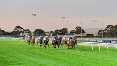 Morphettville Racing