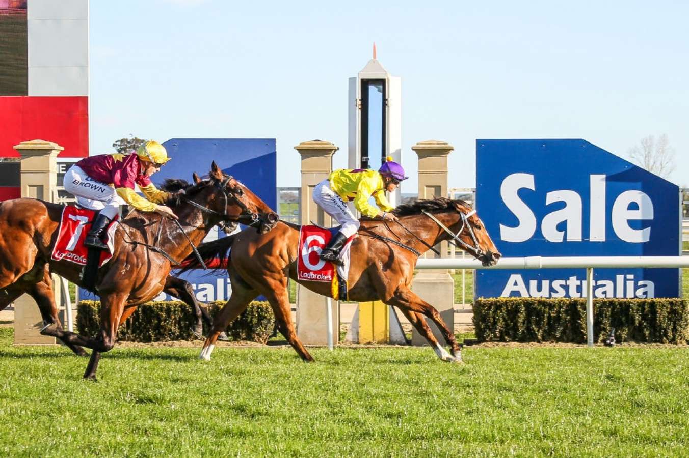 Sale Races Live Sale Tips & Previews, Friday 15th April | BetDeluxe Tips