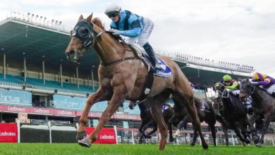 Bendigo Cup Tips & Preview, Wednesday 27th October