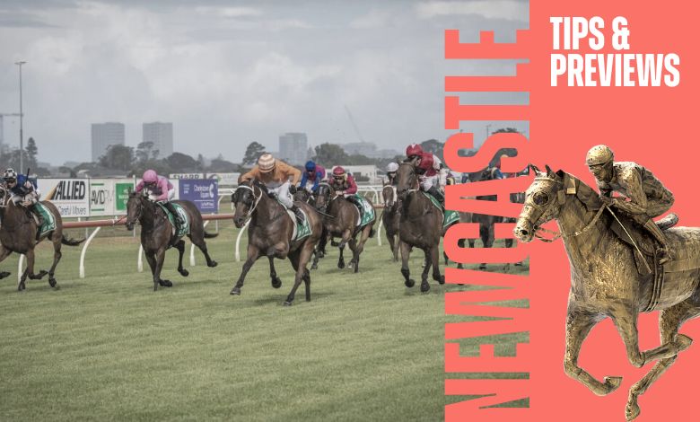 Newcastle Racing Fs Newcastle Racing Tips and Previews, November 12th | BetDeluxe Tips